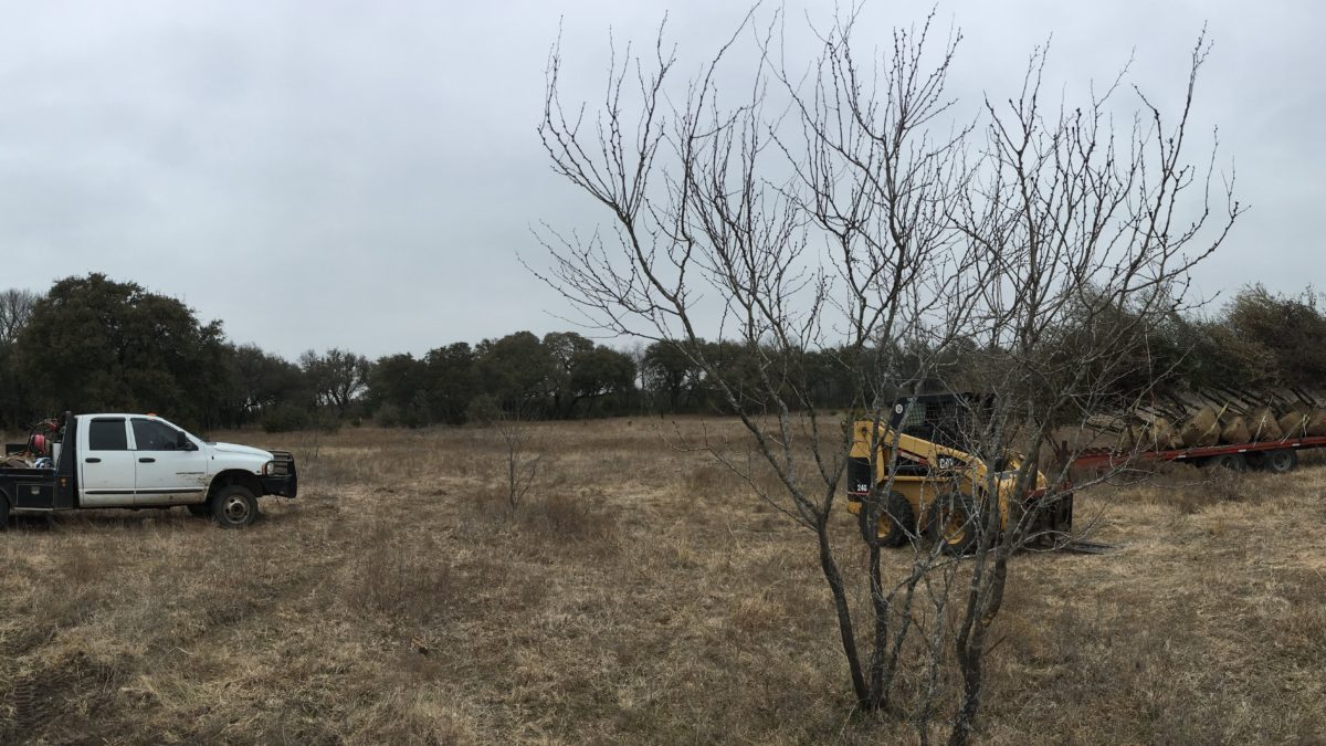 Tree loading operation