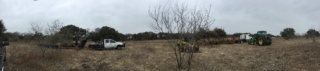 Tree loading operation