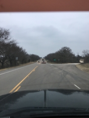 Trees on the road