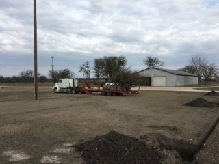 Unloading trees